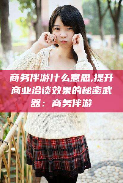 定西商务伴游什么意思,提升商业洽谈效果的秘密武器：商务伴游