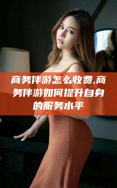 定西商务伴游怎么收费,商务伴游如何提升自身的服务水平