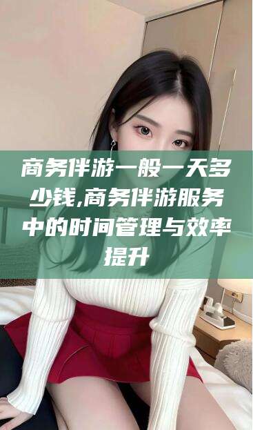 定西商务伴游一般一天多少钱,商务伴游服务中的时间管理与效率提升